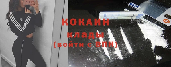 соль ск Каменногорск