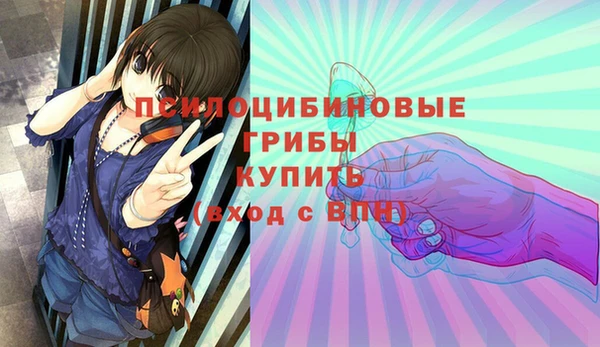 соль ск Касимов