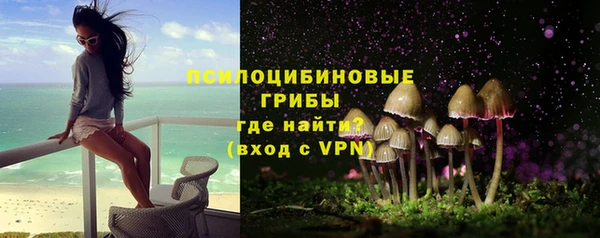 МДПВ Карталы