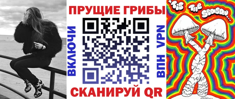Купить закладки  Белый  Галлюциногенные грибы Cubensis 